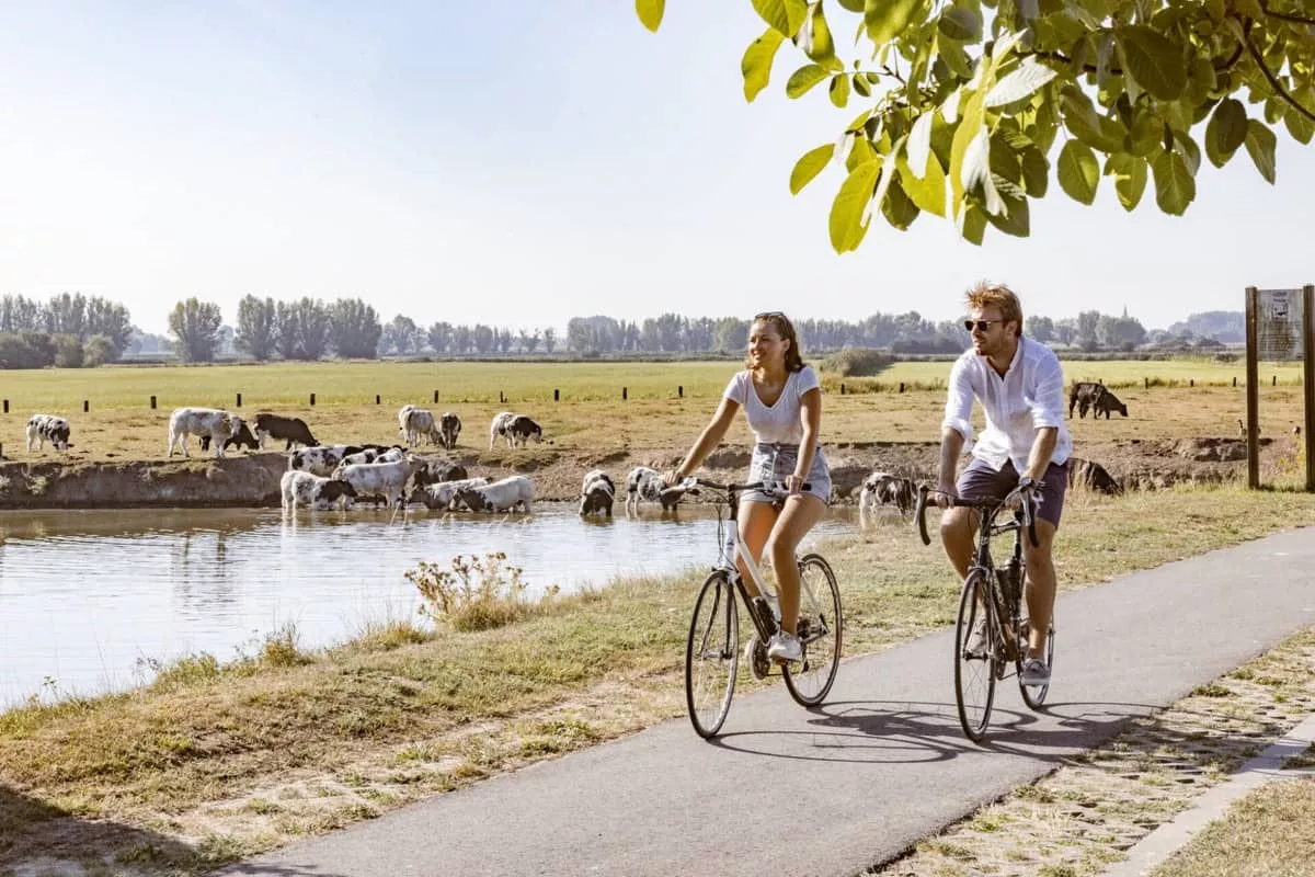 fietserssfeer